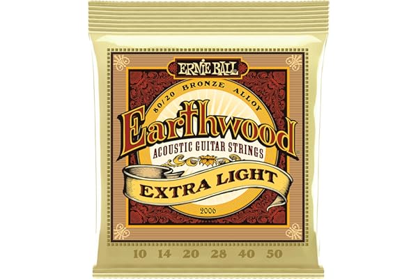 Ernie Ball Earthwood 2006 10–50